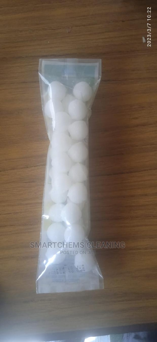 Toilet Moths - main view