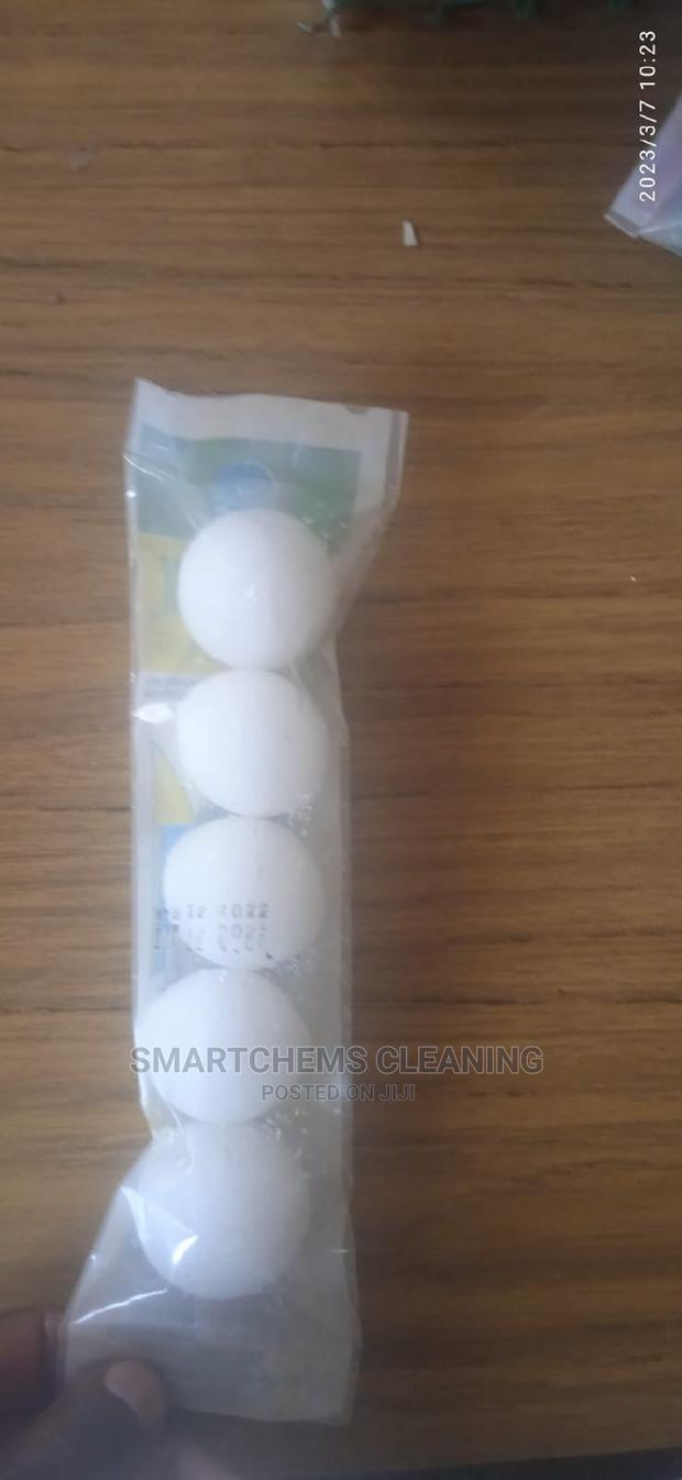 Toilet Moths - thumbnail 3