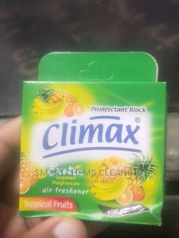 Freshener Disinfectant Block - main view