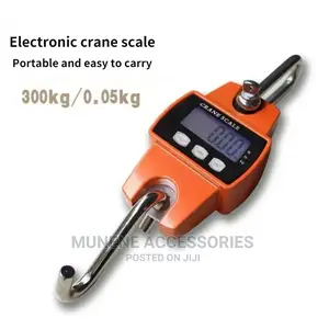 300kg Crane Hanging Scale For Cereals Luggage Goods