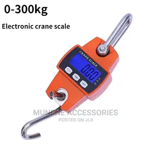 300kg Crane Hanging Scale For Cereals Luggage Goods