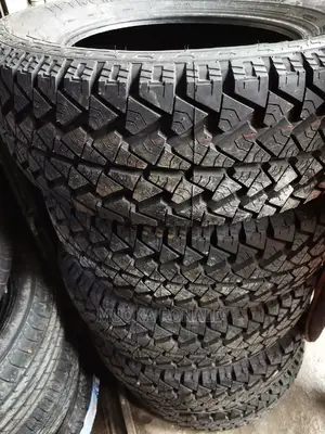 235/65r17 Petromax Tyre (A/T