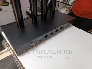 BNK DM400 4 in 1 Wireless Microphone System
