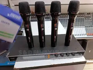 BNK DM400 4 in 1 Wireless Microphone System