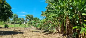 Mtwapa Animo,3 Acre Land on Sale