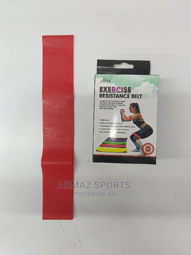 Resistance Belt - main view