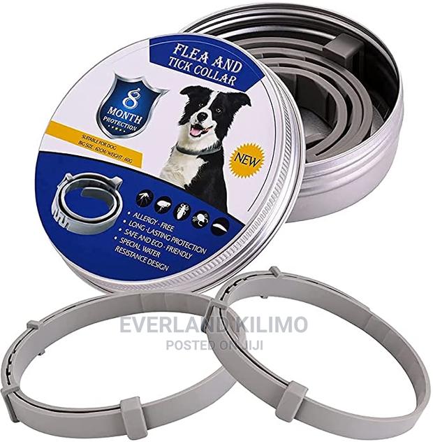 Flea and Tick Dog Collar - main view