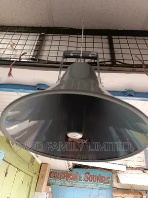 Horn Speaker