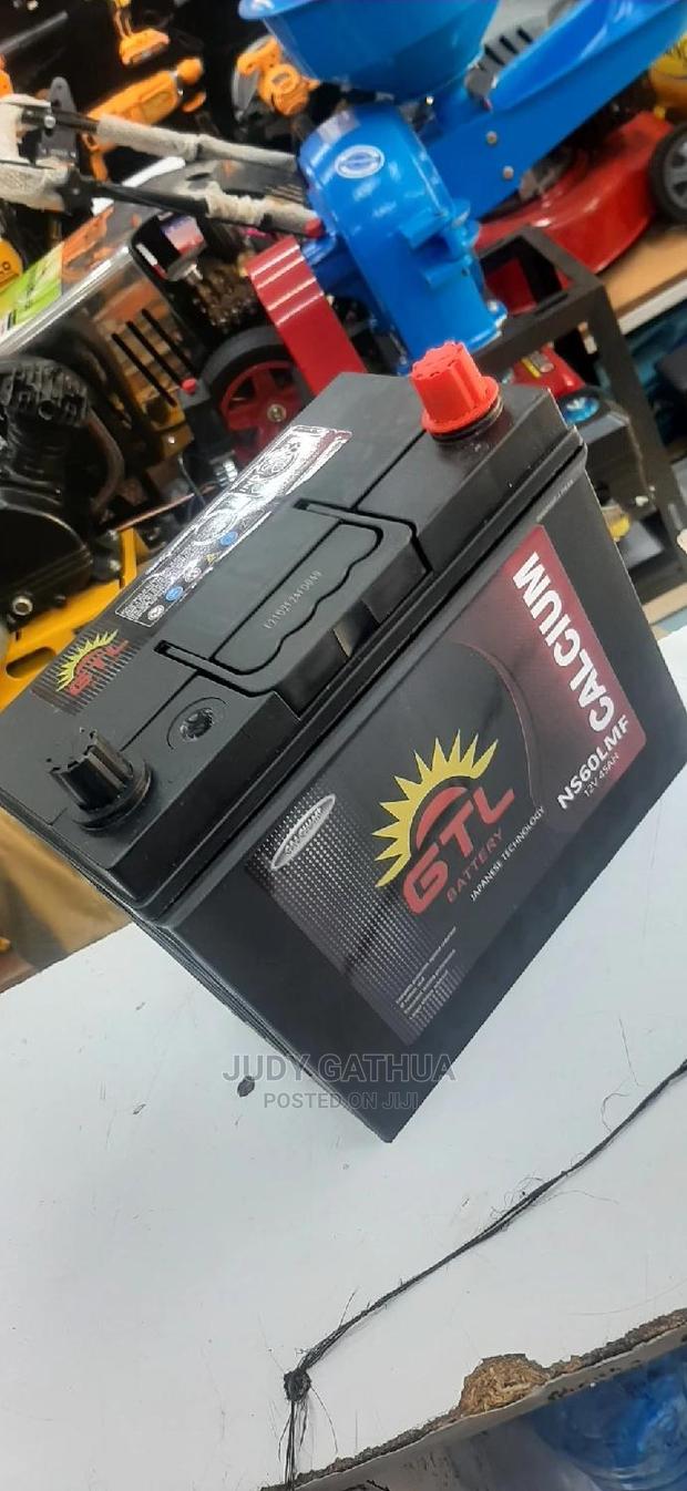 Maintenance Free Battery