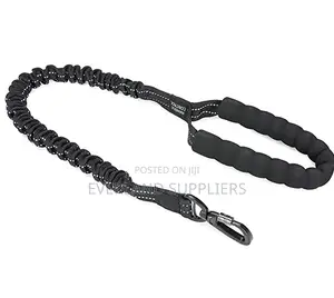 Extendable Dog Leash