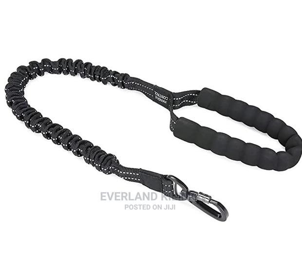 Extendable Dog Leash - main view