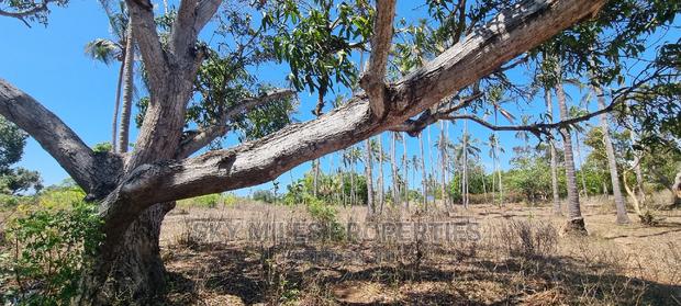 4 Acre Land on Sale Second Row From the Highway