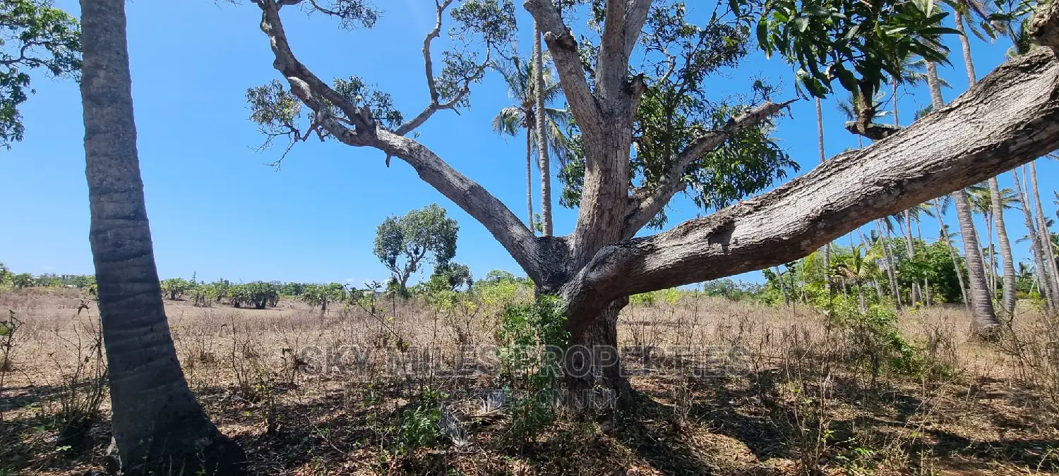 4 Acre Land on Sale Second Row From the Highway