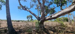 4 Acre Land on Sale Second Row From the Highway