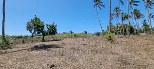 4 Acre Land on Sale Second Row From the Highway