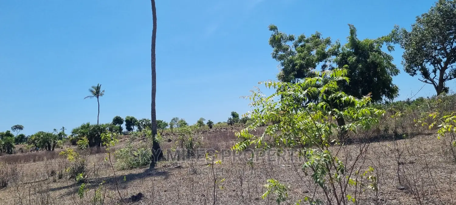 4 Acre Land on Sale Second Row From the Highway