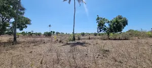 4 Acre Land on Sale Second Row From the Highway
