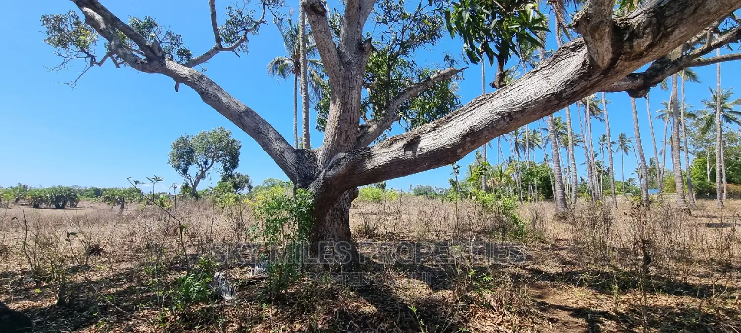 4 Acre Land on Sale Second Row From the Highway