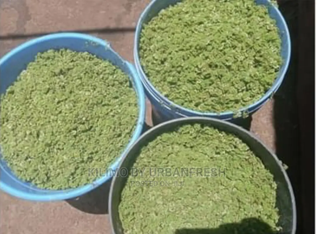 Azolla Fern Livestock Feed.