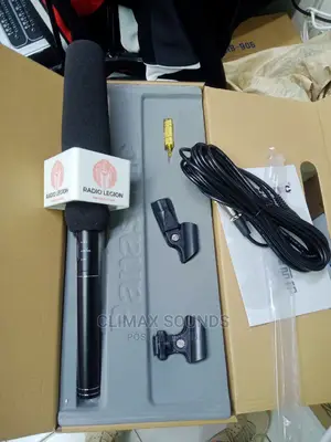 Panasonic Condenser Microphone