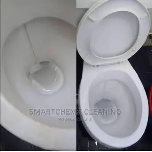Cleaning Toilet Basins Sinks