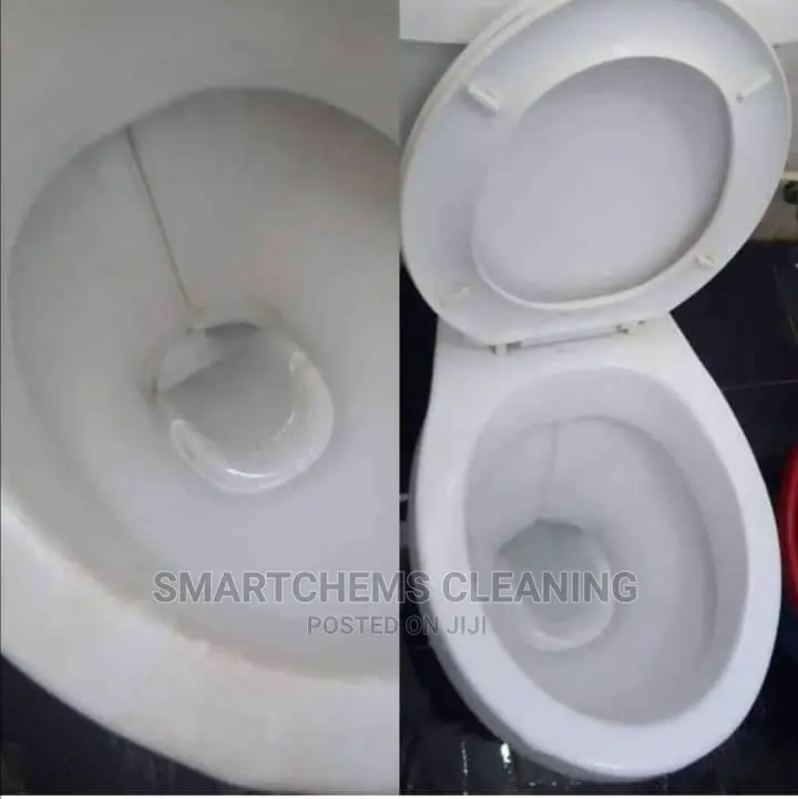 Cleaning Toilet Basins Sinks