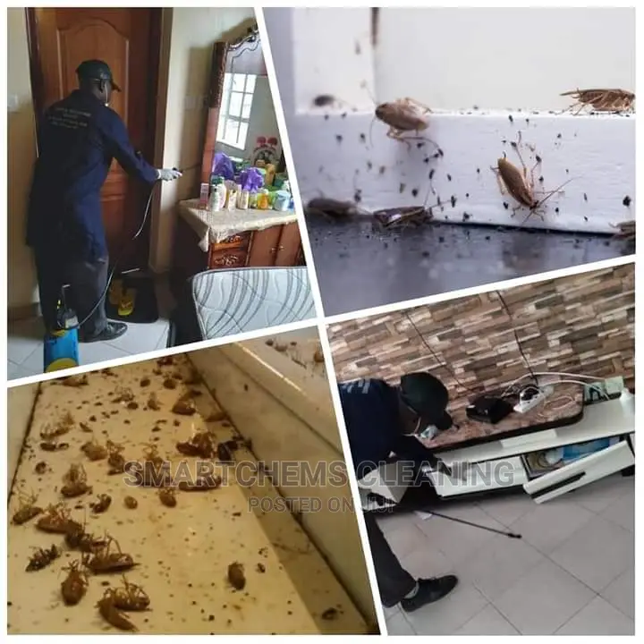 Genocide of Cockroaches Termites