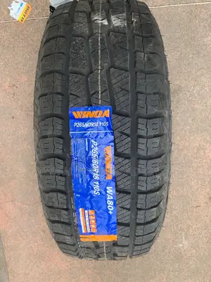 265/60r18 Winda