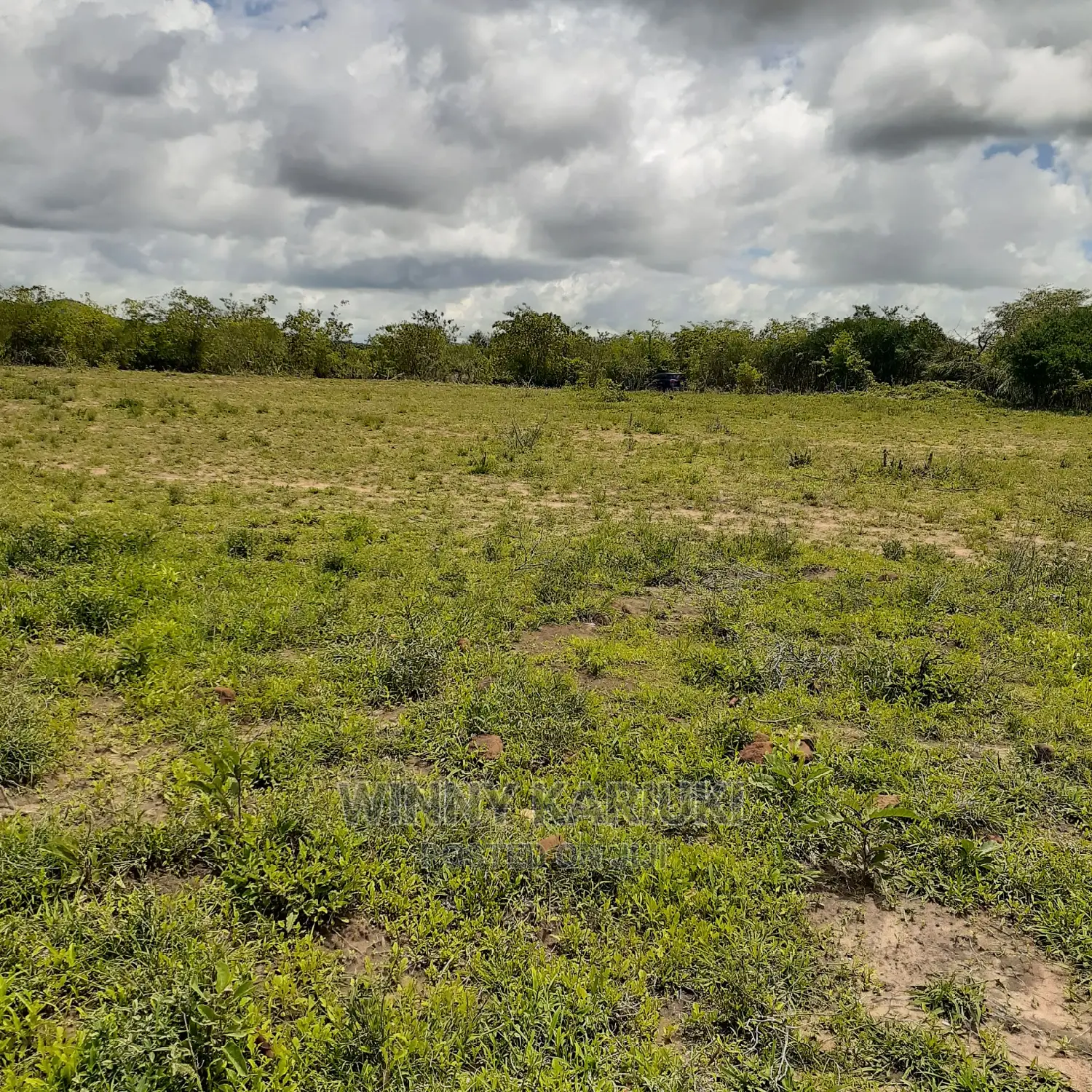 Plots for Sale