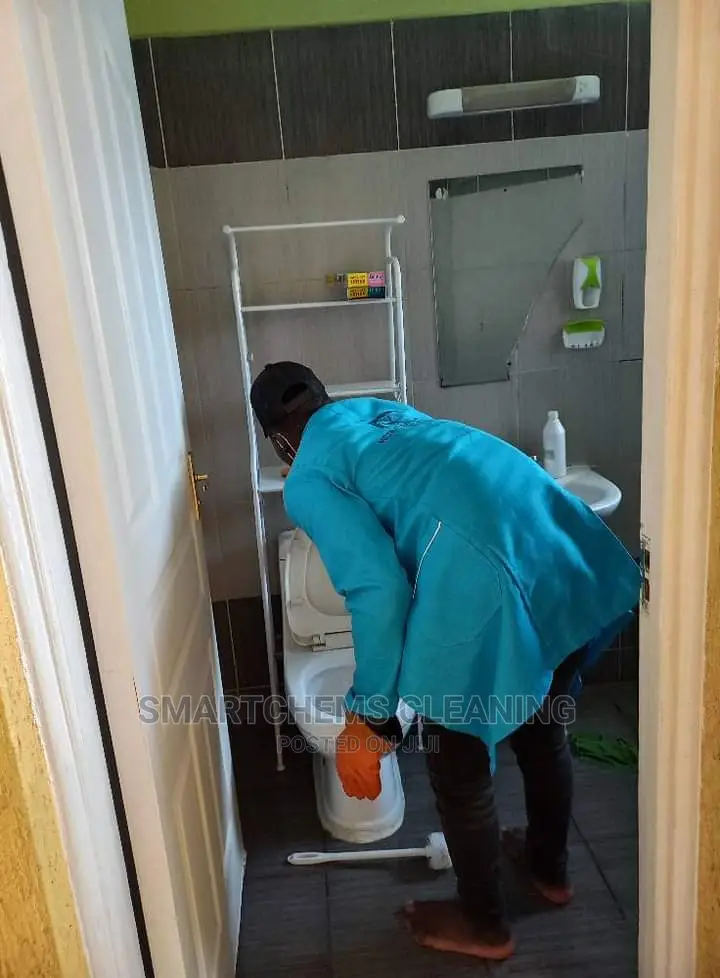 Stains Cleaning in Toilets Bathroom
