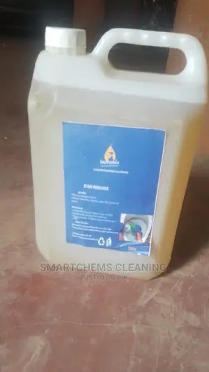 Stains Cleaning in Toilets Bathroom