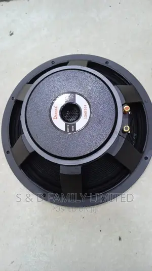Derwel 12 Inch Naked Speaker AH561