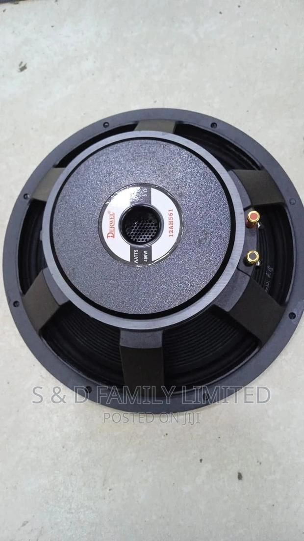 Derwel 12 Inch Naked Speaker AH561