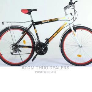 Victory Size 24 Bike With Gears - thumbnail 2