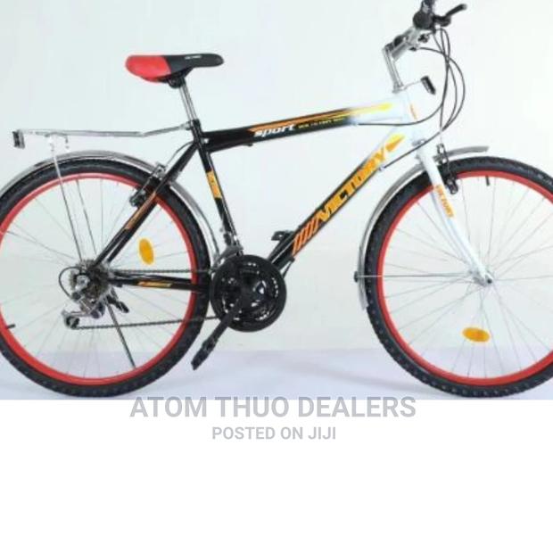 Victory Size 24 Bike With Gears - main view