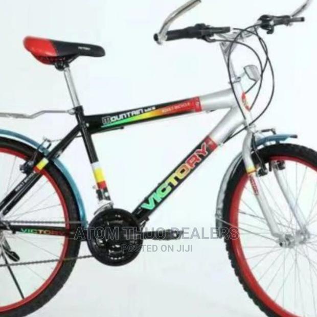 Victory Size 24 Bike With Gears
