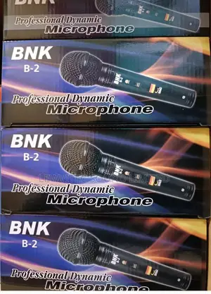 Bnk Wired Microphone B2