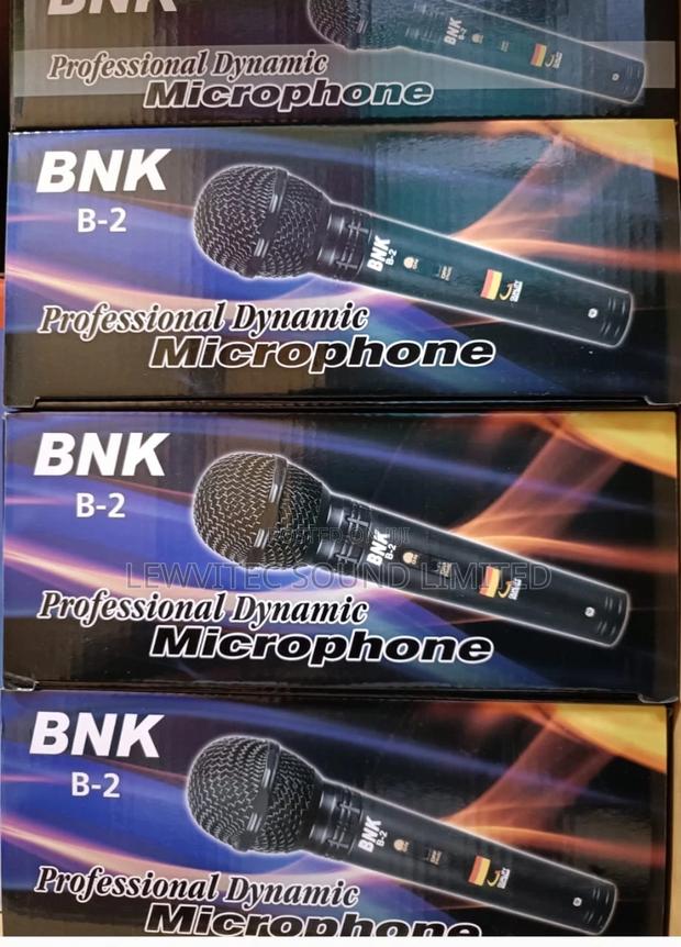 Bnk Wired Microphone B2