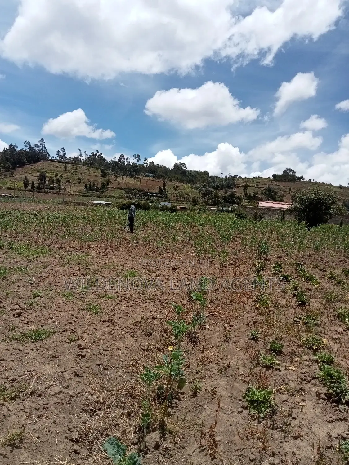 Plot on Sale at Ihindu Market Naivasha