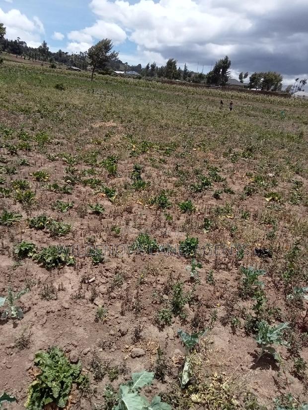 Plot on Sale at Ihindu Market Naivasha - thumbnail 8