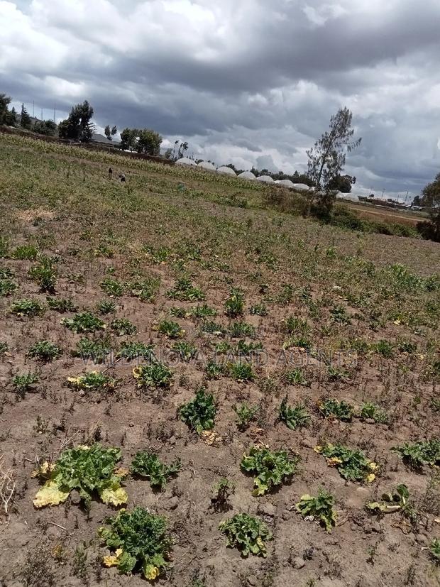Plot on Sale at Ihindu Market Naivasha - thumbnail 10