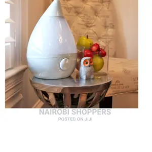 2.4litres Humidifier