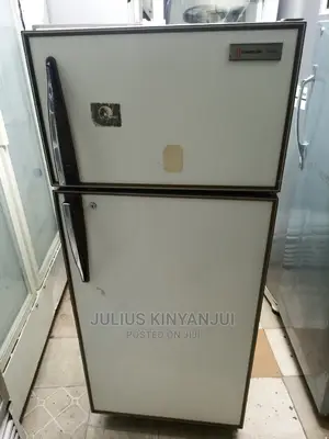 Samsung Fridge