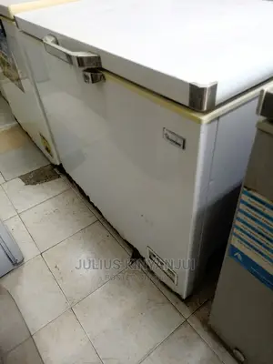 Deep Freezer 300l