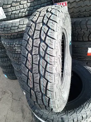 205R16 Zmax Tire