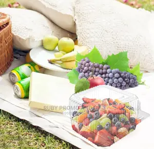 Clear Plastic Disposable Food Containers