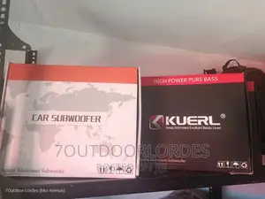 Underseat Subwoofer 10inches 800 Watts