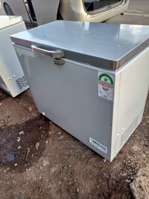 Deep Freezer 250l