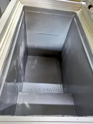 Deep Freezer 300l