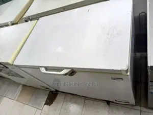 Deep Freezer 300l